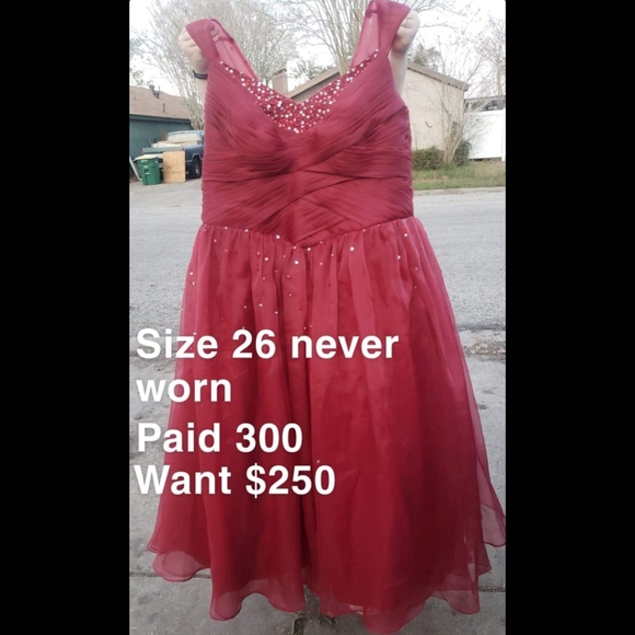 Dresses - Picture 2 of 3